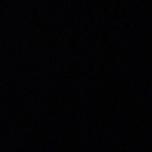 Meet your Posher, Dustin